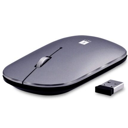 iBALL WIRELESS+BLUETOOTH MOUSE PALMZ